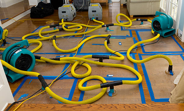 Professional Storm Water Damage Restoration technician working in Maple Valley, WA